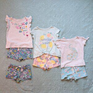 Carter Toddler Girl Shirts & Shorts Bundle Size 3T